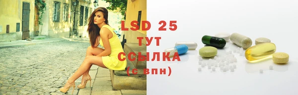 бошки Новодвинск