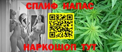 spice Гусиноозёрск