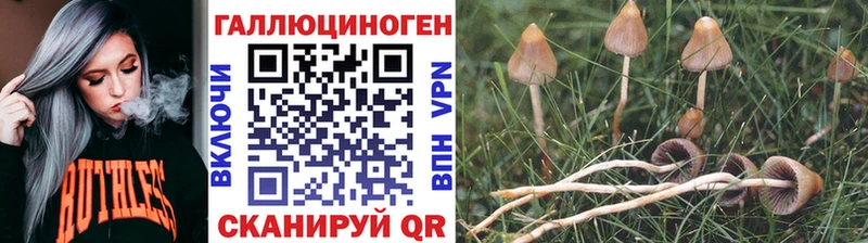 Галлюциногенные грибы мухоморы  ссылка на мегу ONION  Дербент 